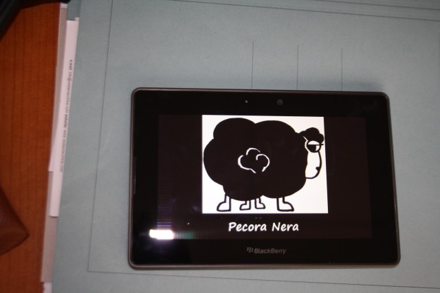 Playbook Pecora Nera